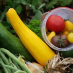 Vegetables in garden